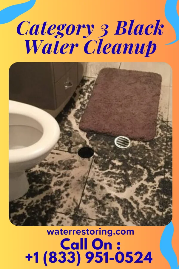 Category 3 Black Water Cleanup in Sugarcreek, PA