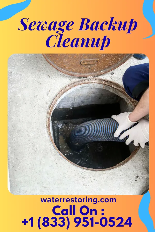 Sewage Backup Cleanup in Sugarcreek, PA